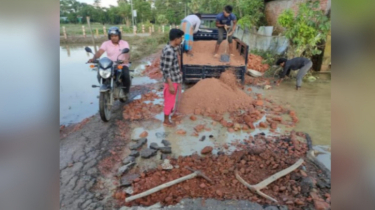 বন্যায় ক্ষতিগ্রস্ত ৫১ কিলোমিটার রাস্তা মেরামত করেছে এলজিইডি