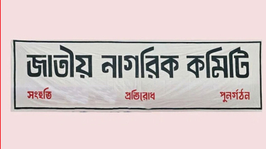 সচিবালয়ে আগুনের ঘটনা পরিকল্পিত ষড়যন্ত্র : জাতীয় নাগরিক কমিটি