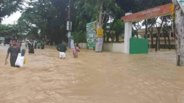 শেরপুরে বন্যায় তিনজনের মৃত্যু