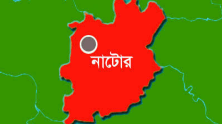 নাটোরে বিএনপি-আওয়ামী লীগের সংঘর্ষে আহত ৫