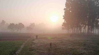 ঢাকায় আজ দেখা মিলেছে সূর্যের